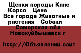 Щенки породы Кане-Корсо › Цена ­ 25 000 - Все города Животные и растения » Собаки   . Самарская обл.,Новокуйбышевск г.